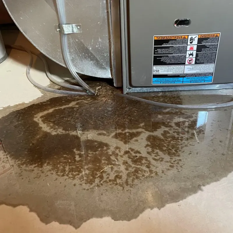 Pipe Burst and Leak Restoration in Westhampton, MA